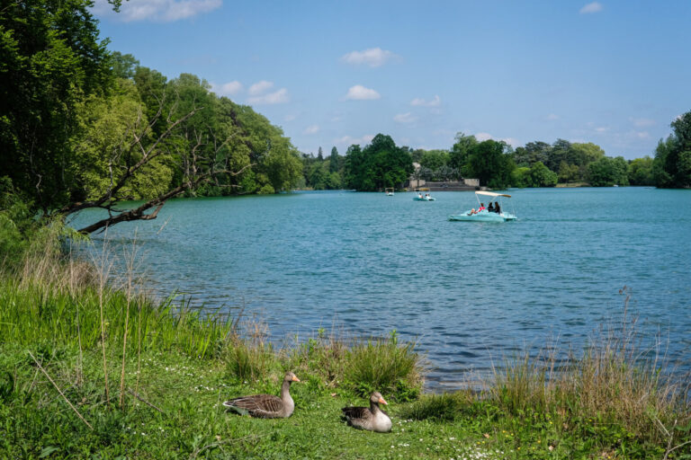 France, Lyon, 2022-04-26. Lyon (France), le 26 avril 2022. Le lac du parc de la tete d'or avec des pedalos et des oies c