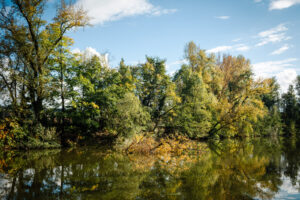 France, Chazay d Azergues, 2024-10-18. Trees in autumn colours lined up on the edge of a lake. Photography by Franck CHA