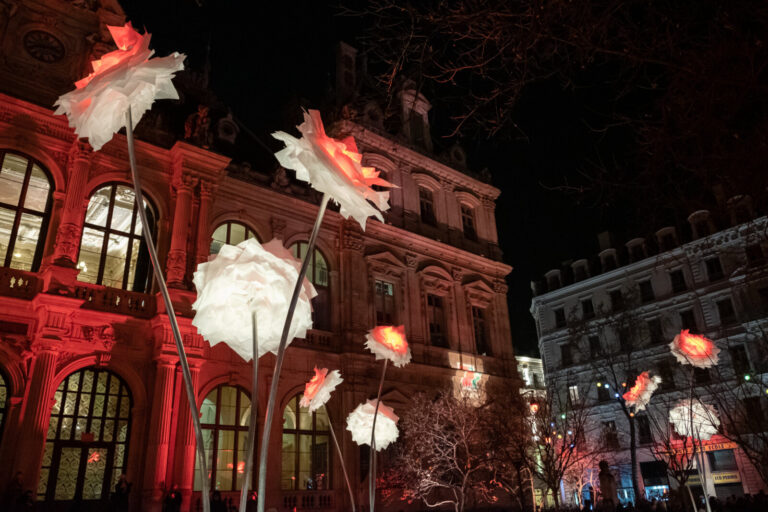 France, Lyon, 2016-12-08. Lyon (France), le 08 decembre 2016. Fete des lumieres devant le palais de la bourse avec des f
