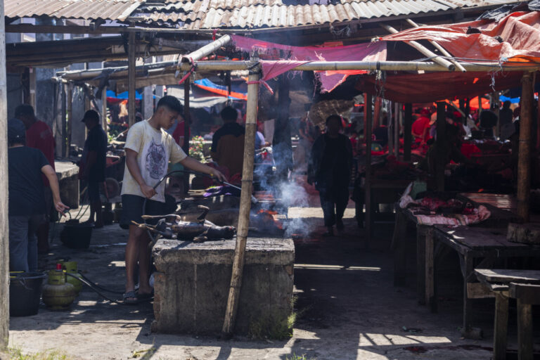 Indonesia, Langowan, 2026-09-12. Young vendor singeing a dog carcass on a stone block, busy market lane under red awning