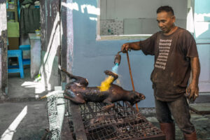 Indonesia, Langowan, 2026-09-12. Vendor singeing a dog carcass with a blowtorch, intense yellow flame, smiling passers-b