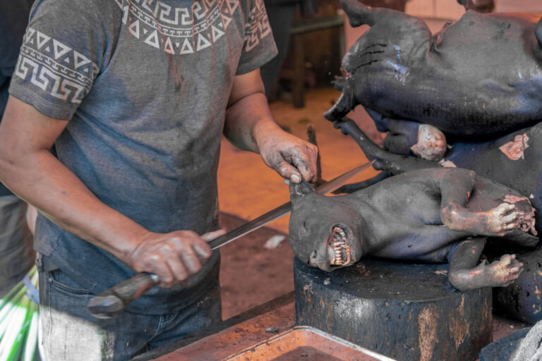 Indonesia, Tomohon, 2026-09-12. Close-up of a butcher's hands holding a knife near a grilled dog carcass head on a chopp