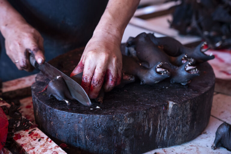 Indonesia, Tomohon, 2026-09-12. Close-up of blood-stained hands cutting bat carcasses, open mouths visible. Photograph b