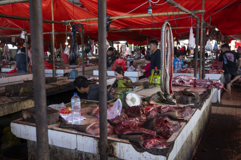 Indonesia, Tomohon, 2026-09-11. Overview of an extreme-market stall, hanging python, bones and cuts of meat on a tiled t