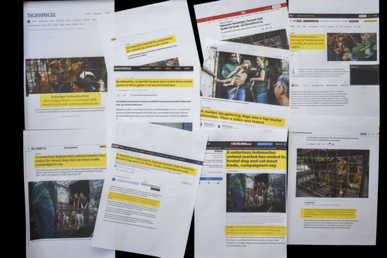 France, Paris, 2026-10-01. In July 2023 the international press was celebrating the ban of dog and cat meat in famous To