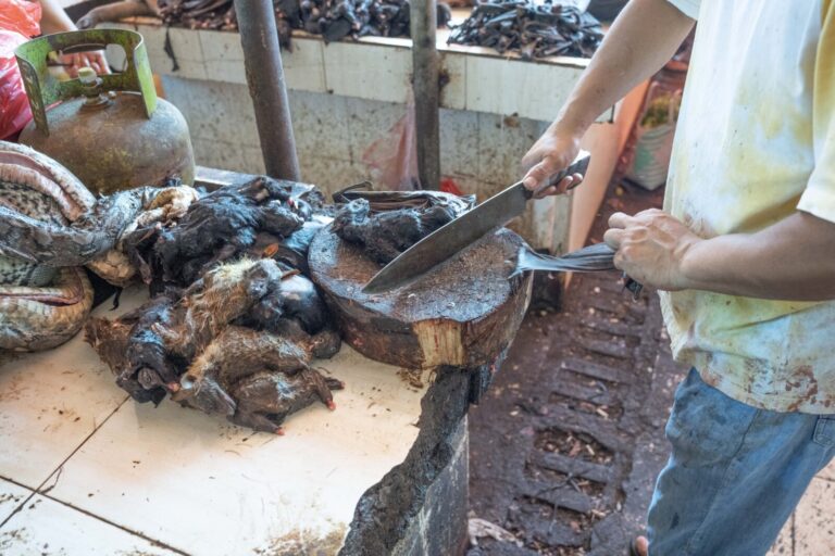 Indonesia, Tomohon, 2026-09-11. Vendor cutting small bat carcasses on a chopping block, a coiled python nearby, Tomohon 