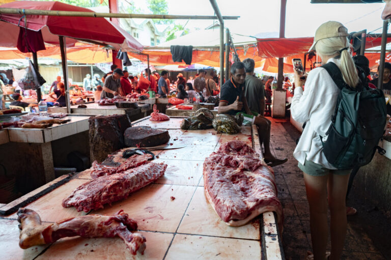 Indonesia, Tomohon, 2026-09-12. Smiling vendor giving a thumbs-up seated near reticulated pythons, a tourist photographi