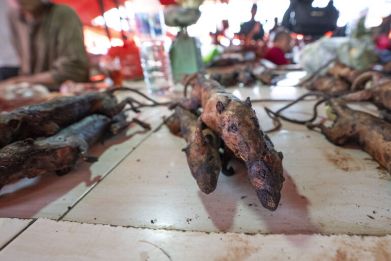 Indonesia, Tomohon, 2026-09-12. Close-up of small grilled carcasses (forest rats) lined up on a stall, charred skin text