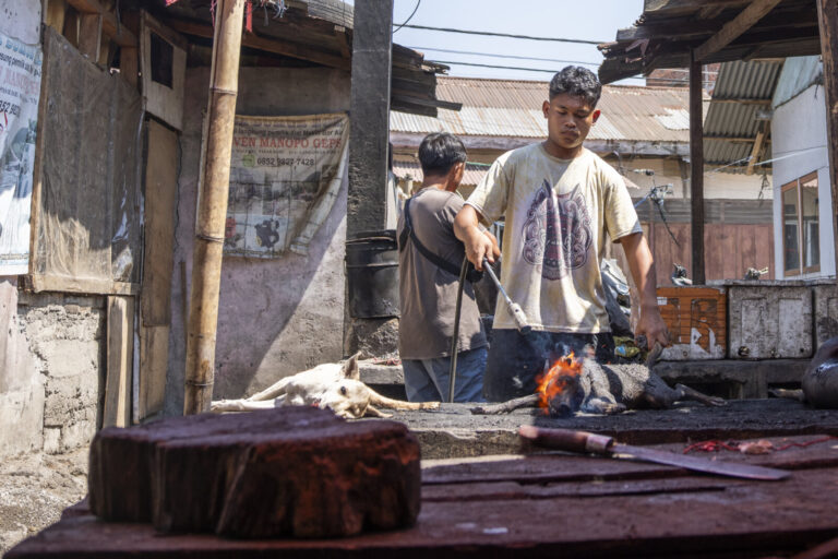 Indonesia, Langowan, 2026-09-12. Young butcher singeing a dog carcass with a blowtorch, a whole white dog still lying on
