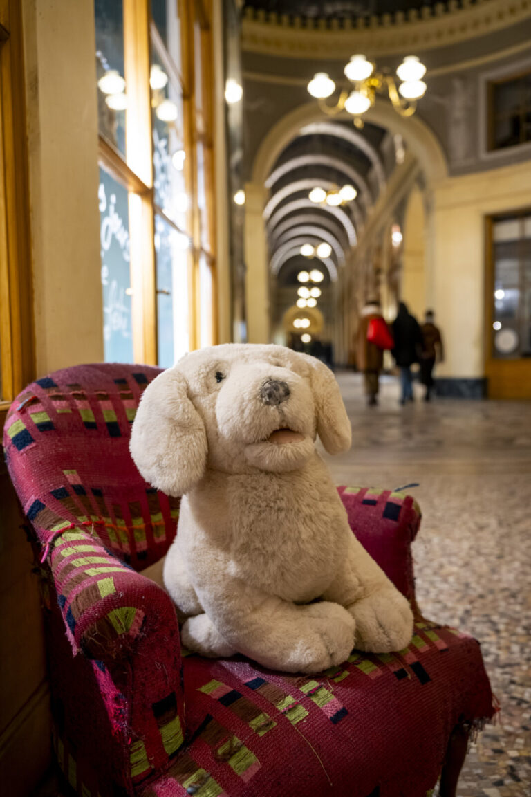 France, Paris, 2026-02-15. Vivienne Gallery. The Paris covered passages are historic 19th-century shopping arcades locat