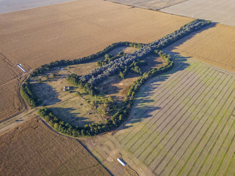 Argentina, Cordoba, 2026-07-01. Aerial view of the famous "Tree Guitar," a vast vegetal formation created in the 1970s b