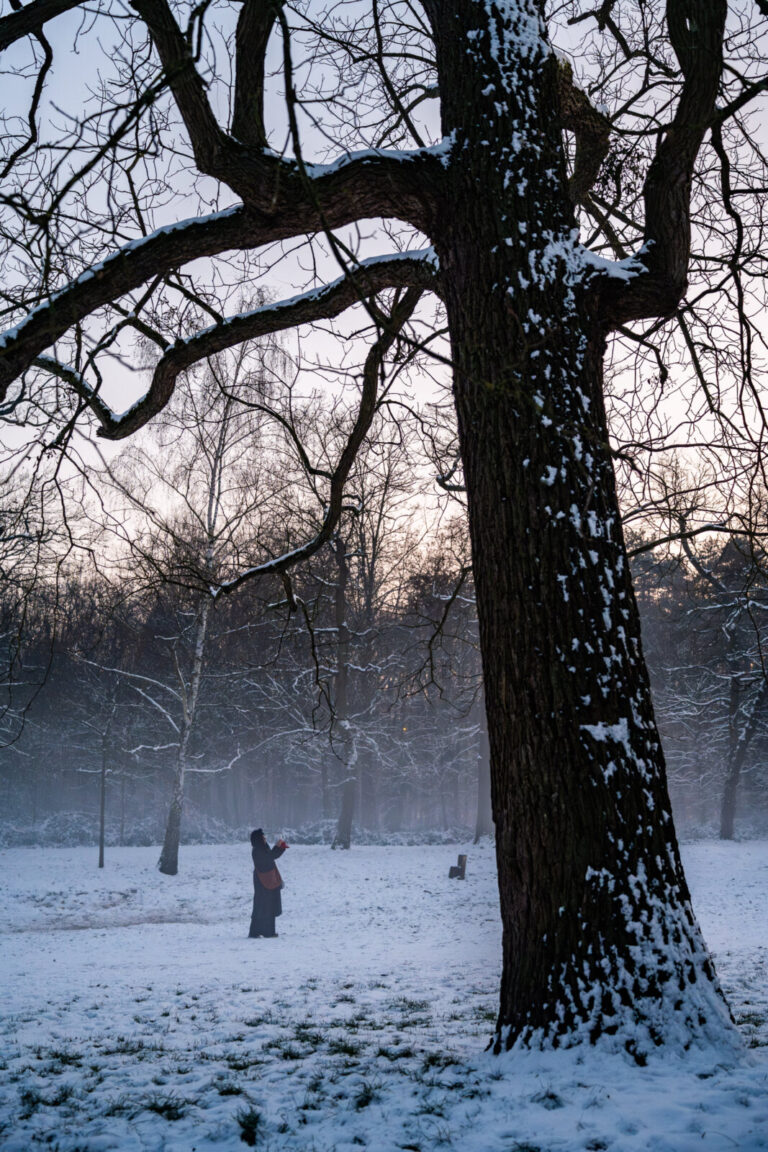 France, Paris, 2026-01-06. Vincennes under the snow. The Bois de Vincennes, covered in a white blanket, attracts Parisia