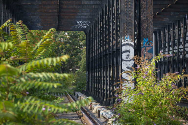 France, Paris, 2021-08-12. Petite Ceinture, section of the 19th arrondissement. A former circular railway line built in 