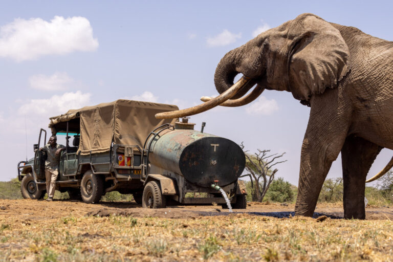 Kenya, Ol Donyo, 2022-03-16. Elephant and tanker. Photograph by Guy LEROY / Collectif DR.
Kenya, Ol Donyo, 2022-03-16. E
