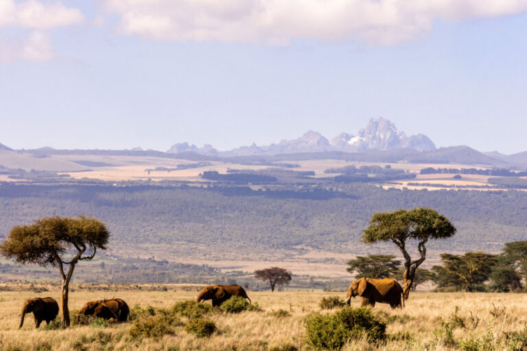 Kenya, Borana, 2026-03-12. Kenya, Laikipia, 12 March 2026. View of Mount Kenya whilst observing wildlife in the African 