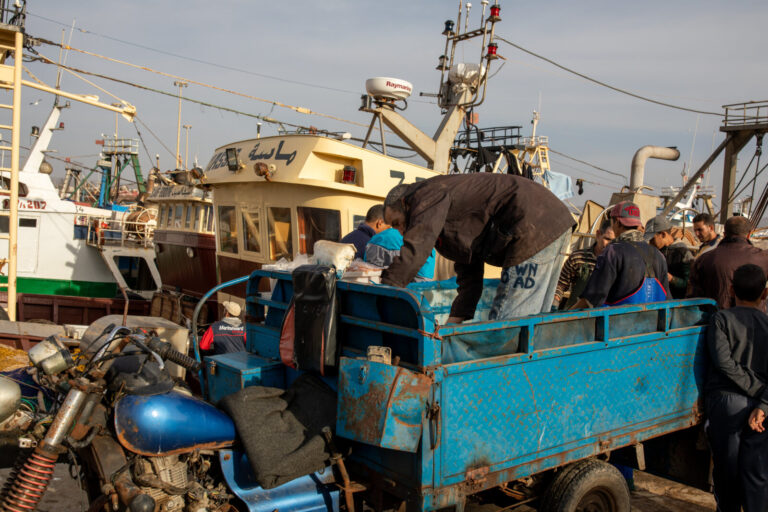 Morocco, Essaouira, 2019-09-23. Trawlers unload the product of fishing, the crowd of fishermen help with the handling, a