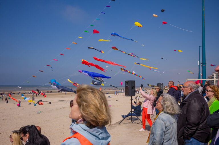 France, Bray-Dunes, 2024-05-19. La Ronde des Vents, the international kite festival in Bray-Dunes, takes place on the be