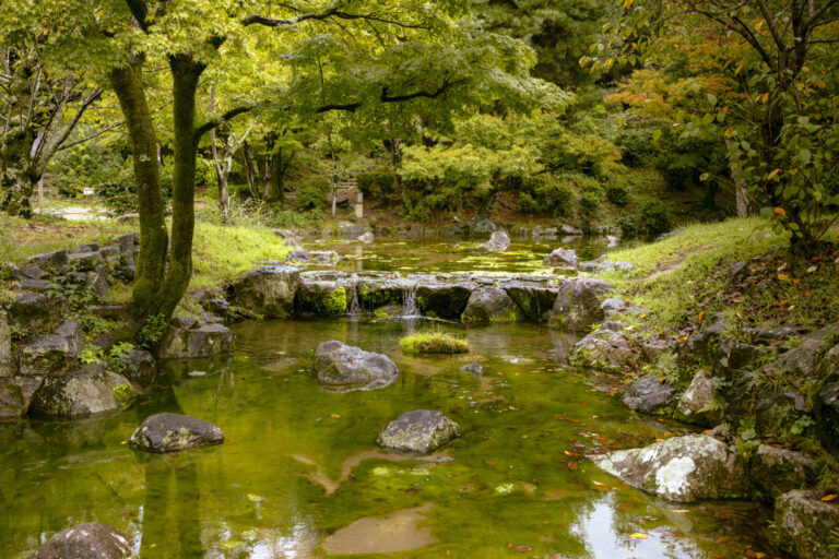 Japon, Kyoto, 2025-10-05. Japon, Kyoto, 2025-10-05, Parc Maryama Francais : Vue d un jardin japonais paisible avec un et