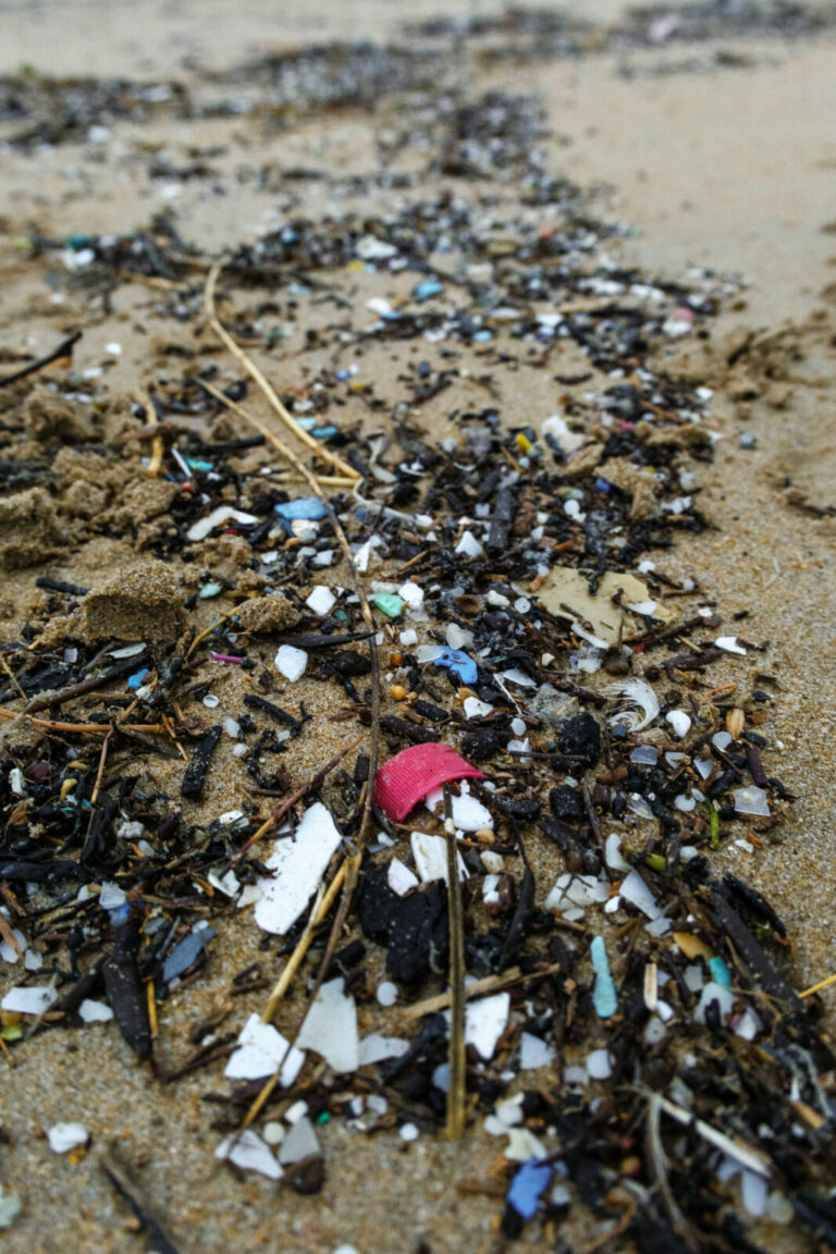France, Erdeven, 2026-02-15. France, Erdeven, 15-02-2026Un ruisseau cotier charrie des dechets vers la mer, comme ce fu