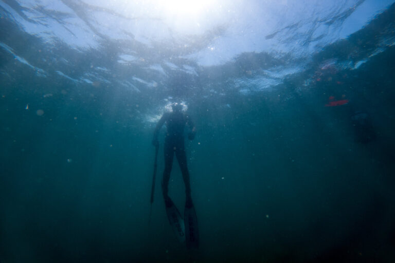 France, Brest, 2022-07-07. A spearfisher taking his breath back at the surface after a dive in the coastal waters of bri