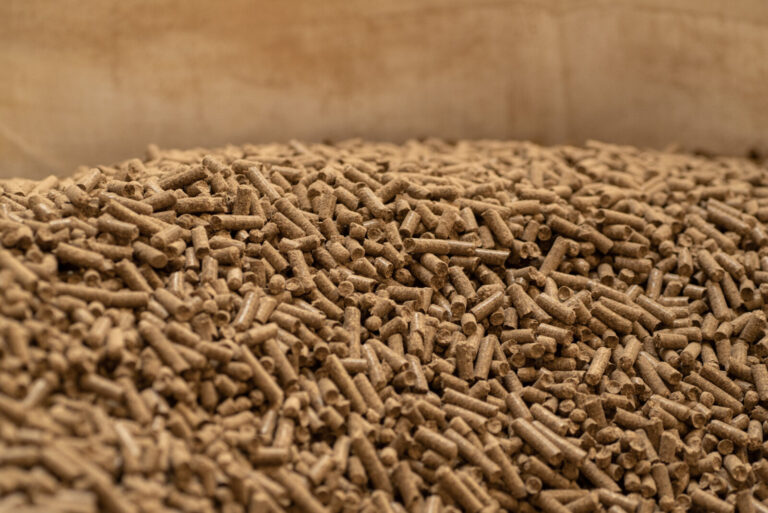 France, Henon, 2022-10-07. Pellets heating made from fern in Brittany - France, october 2022. Photograph by Oscar CHUBER