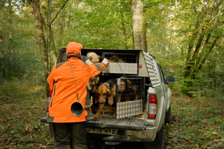 France, La Motte Saint-Jean, 2024-10-20. A hunter takes several hunting dogs out of their cages in the back of a pick-up