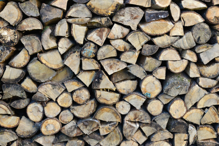 France, Ploufragan, 2020-12-25. Close-up of a pile of firewood logs stored outside. Photograph by Valerie Quemener / Col