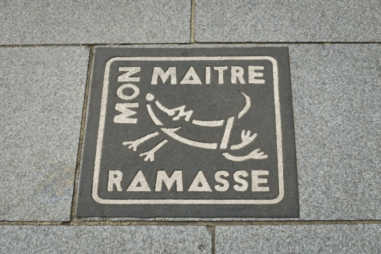 France, Brest, 2022-07-13. Pictogram on the ground 'My master collects' encouraging dog owners to leave the pavement cle