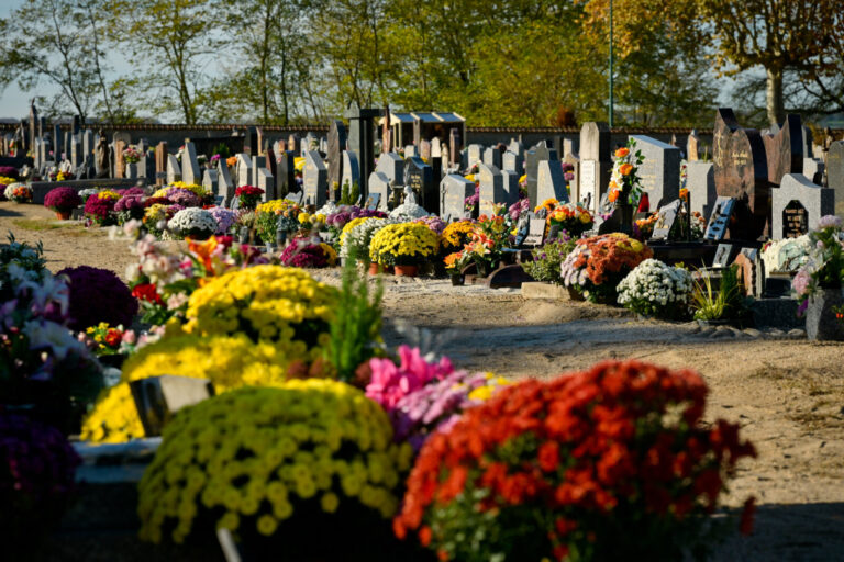 France, Digoin, 2025-11-05. Many bouquets of multicolored chrysanthemums are placed in front of graves in a cemetery in 