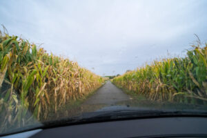 France, Ergersheim, 2019-09-29. Quelques gouttes de pluie restent sur le pare-brise de la voiture qui roule dans la camp