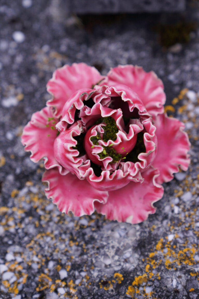 France, Chatellerault, 2019-09-29. Une rose en ceramique decoration de cimetiere est pleine de mousse et de terre. Photo